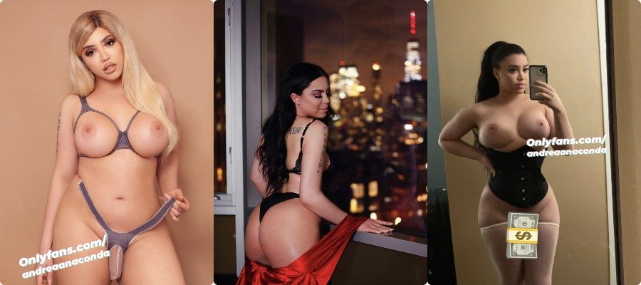 andreaanaconda / Andrea Anaconda