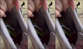 MissGennyClip - Foot Worship Humiliation