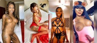 brandybugotti /