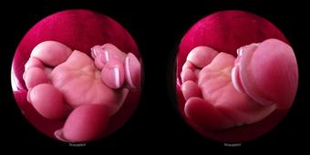 Candid VR Giantess feet club - Under Salome'S Miko Skirt (Tiny3Dx 48)