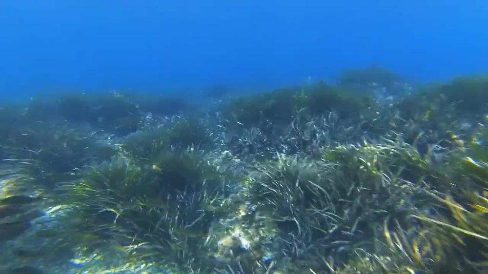 Public beach. Nude snorkeling / Underwater. Save the ocean and have fun!
