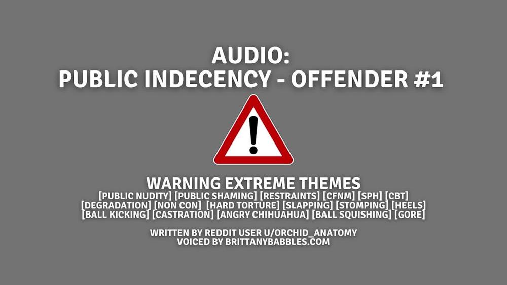 *WARNING EXTREME THEMES* Audio: Public Indecency - Offender #1