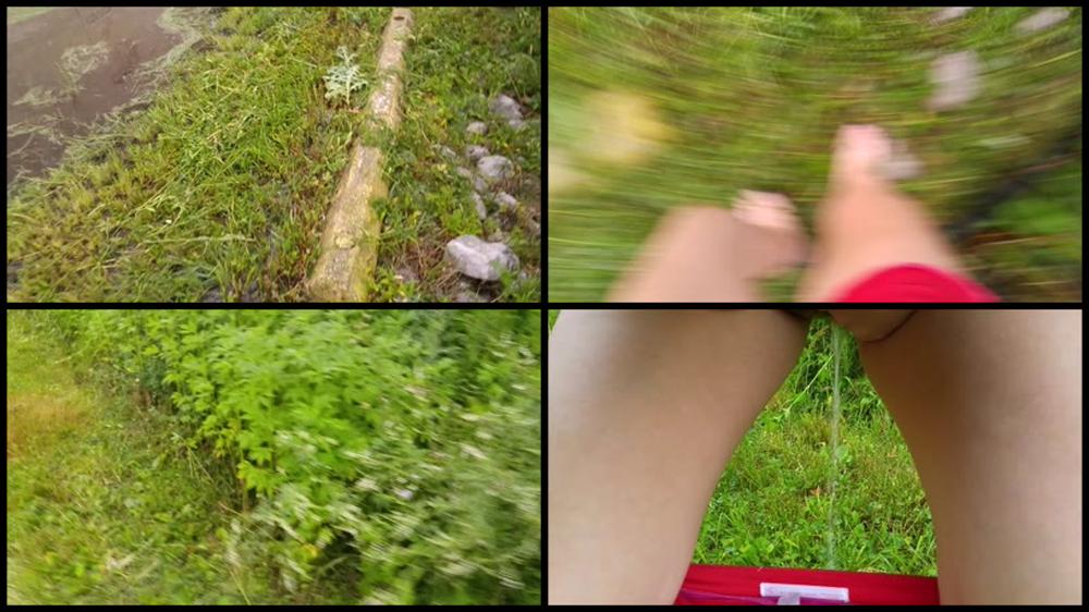 Candiecane Peeing In The Grass Of A Hotels Backyard