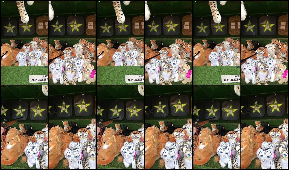 Aprilpaisleyofficial 31 03 2018 8305728 So We Got Given Another Go One More Star And I Get Cuddlie Toy A Cat One Of Corse Lol Can