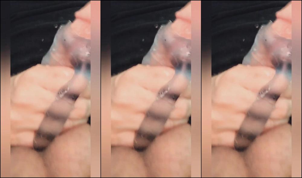 Nice View, Close Up Cumshot, Big Balls Sexy Voice