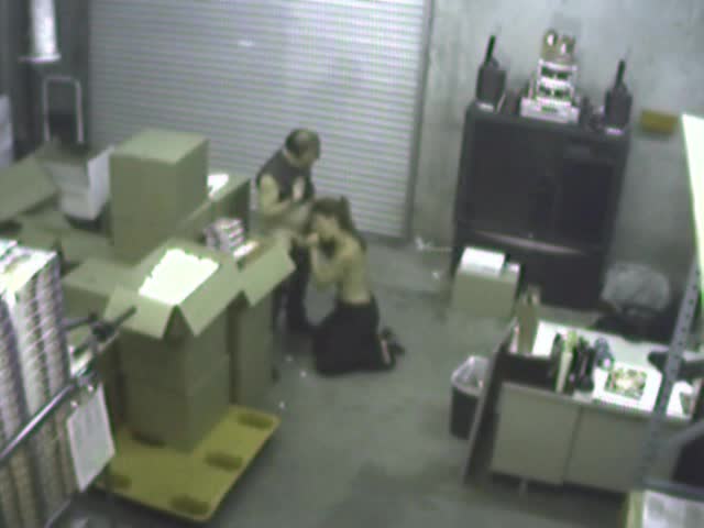 Security Cam Chronicles Scene 2.