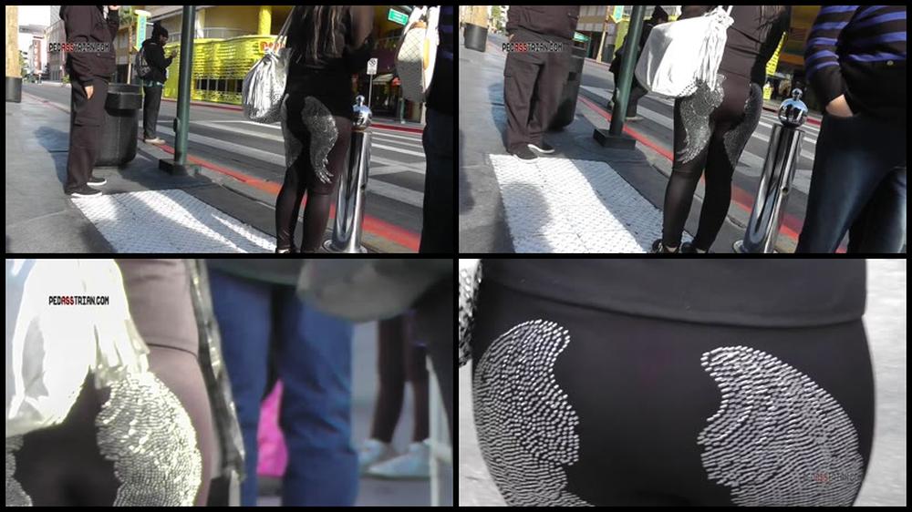 229 Fremont Seethru X264