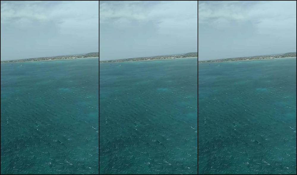 GORILLA P PARASAILING OVER THE CARRIBBEAN SEA!!!!! ❤ARUBA