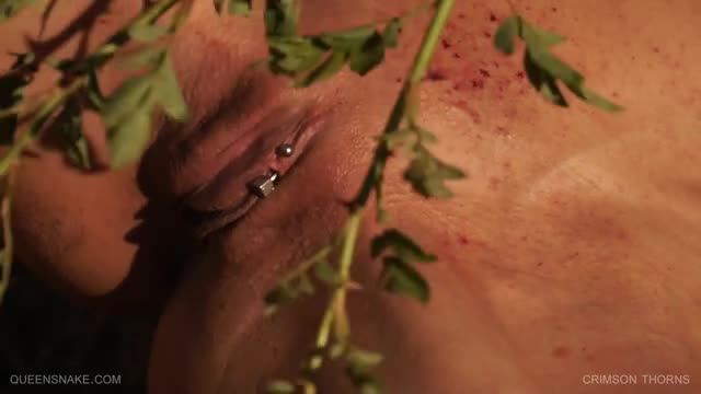 Crimson Thorns - Qs (19.06.2011)