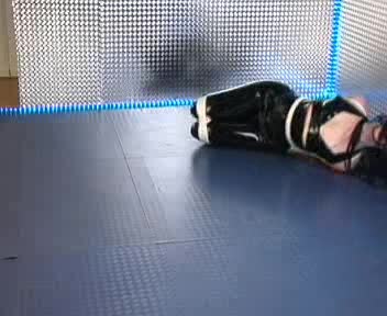 Darenzia01