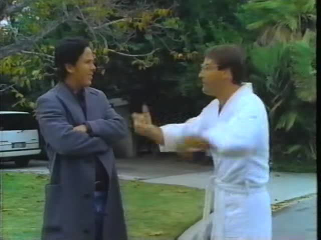 Sex_2_(1993)_H265