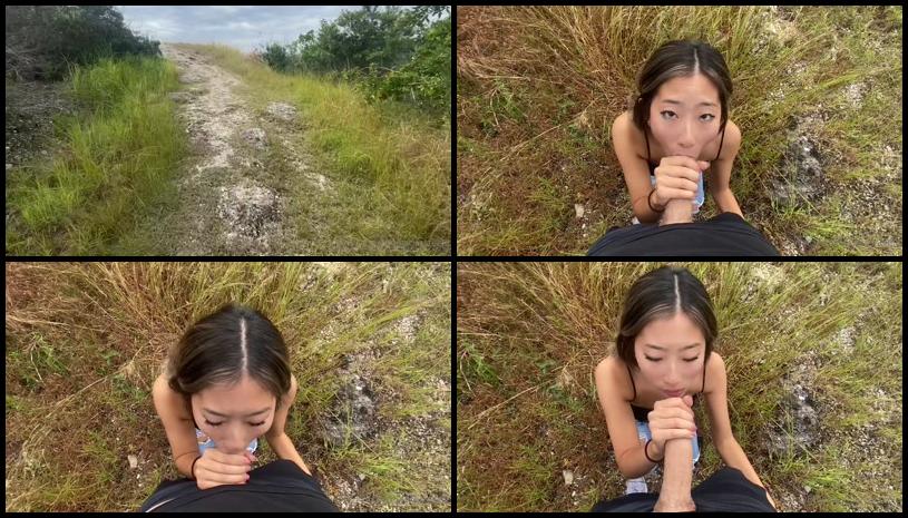 Of Aeriessteele 06 1080P