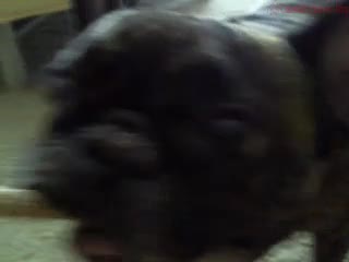 Anitapearl_150815_1130_Mfc_Myfreecams
