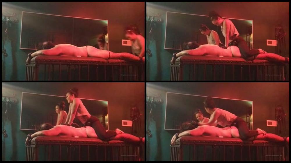 Mistress Anli 05 01 2020 117189221 Do You Ever Stare At Yourself In The Mirror While You X27 Re Boning Some Bitch In The Butt Bec