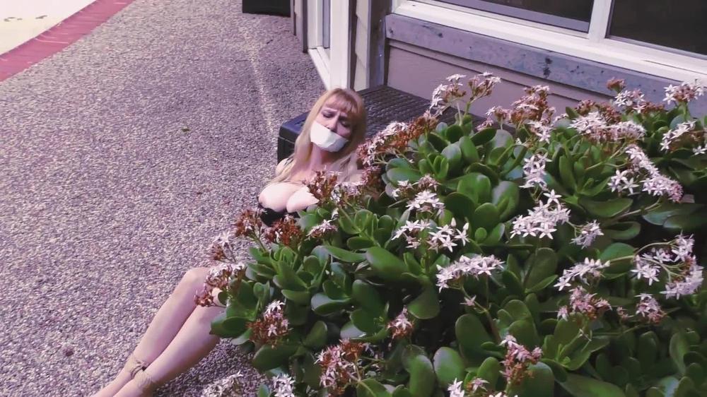 Box Bondage - Big-Boobed Babe Bound In Silky Slip Outdoors