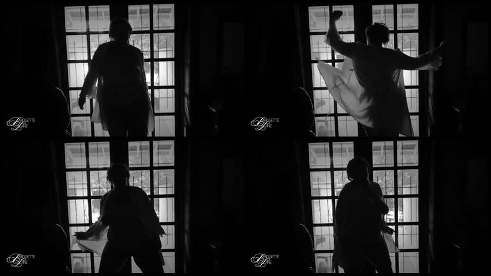 Bridgette Lane Sensual Silhouette Dancing