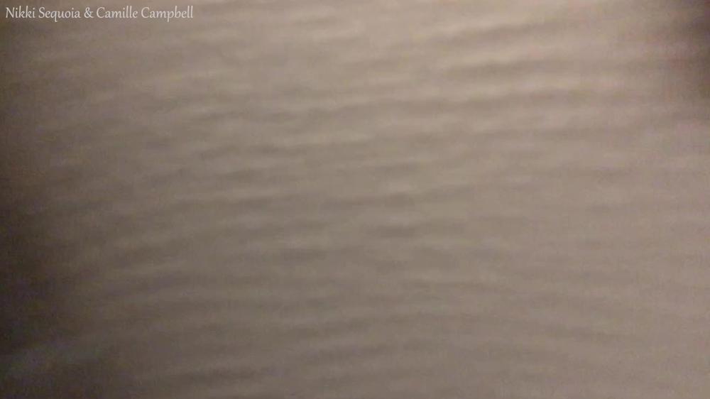 Nikki Sequoia Las Vegas Ladies Room Pee Compilation