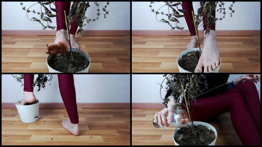 Megaplaygirl Licking Dirty Foot Asmr