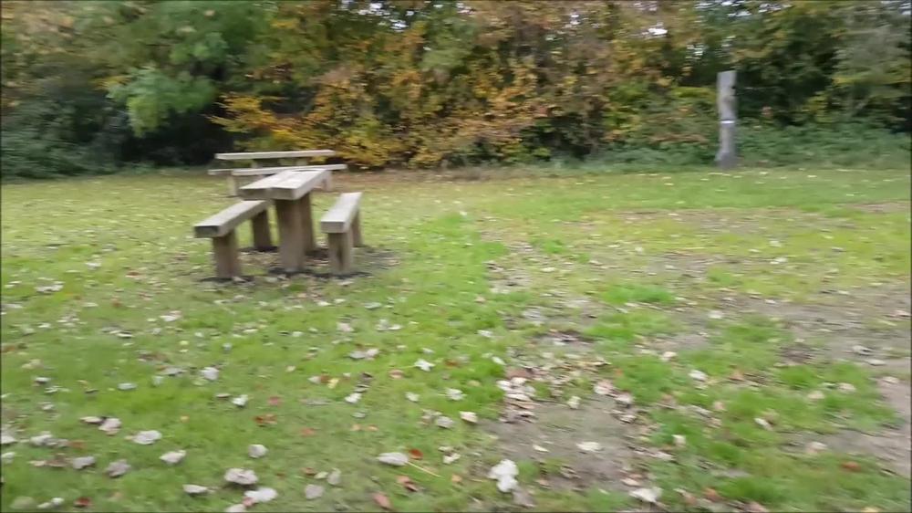 Fuck Me on the Bench in the Nature Park