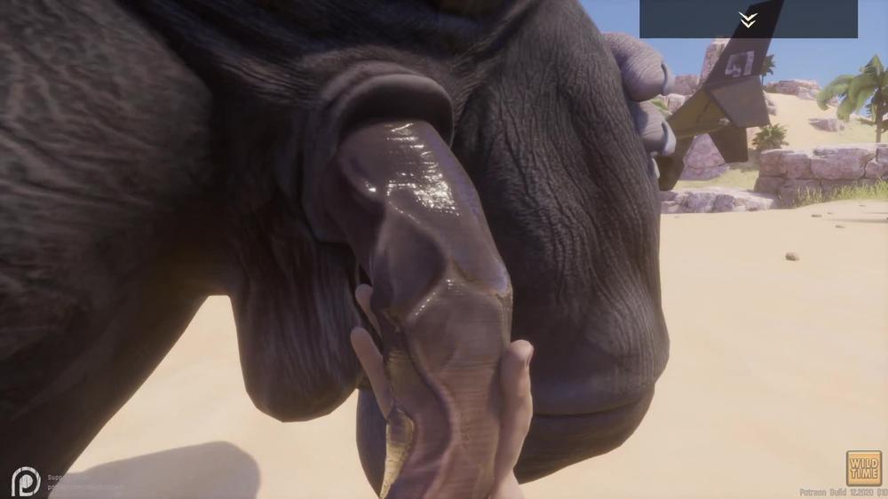 Wild Life / Gay Furry Blowjob in POV