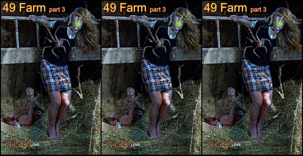 412, 731, 49 - Farm (2022-04-13)