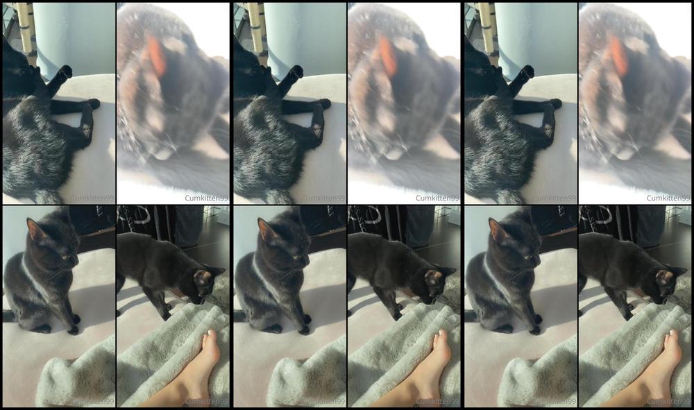 Cumkitten99 06 12 2021 2294290622 Gooooood Morning This Is Our Morning Routine I D Like To Submit My Application Fo