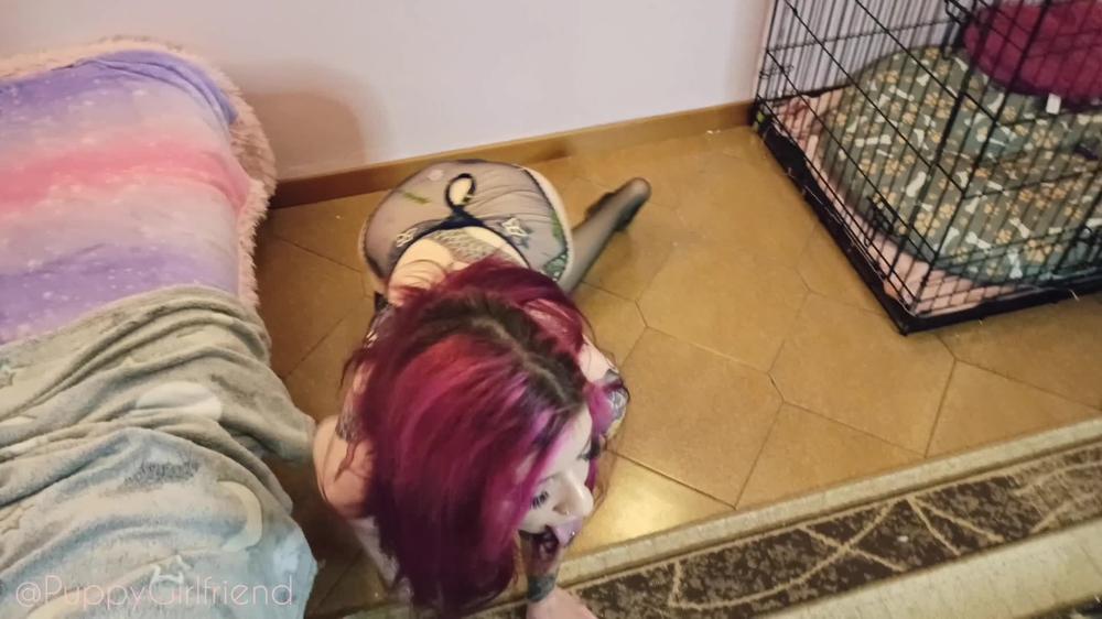 Puppygirlfriend Sniff And Pant Fetish Slut Manyvids