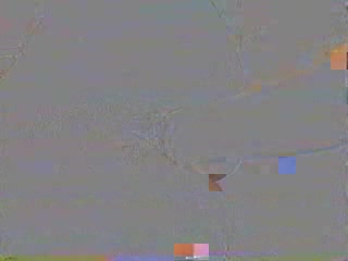 Future_Fisters1