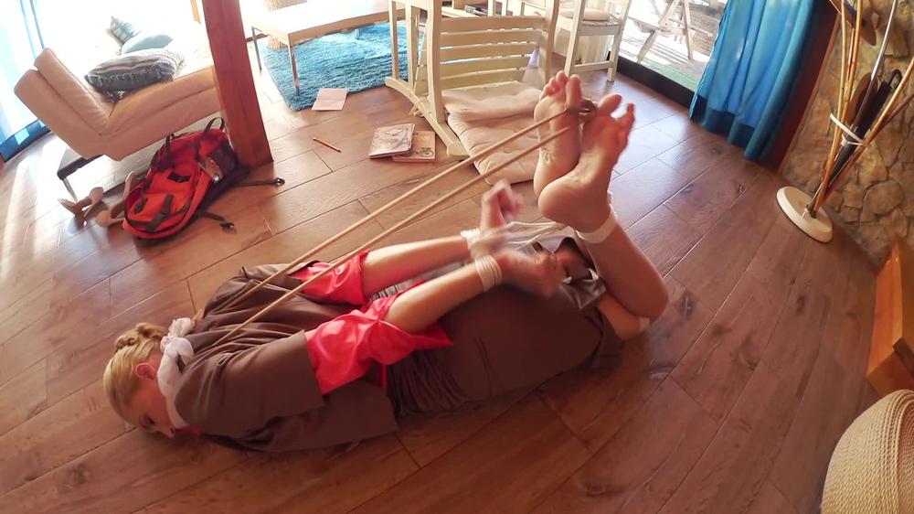 Ariel Anderssen Satin Clad Business Woman Hogtied