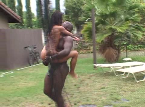 [2005].Black In The Ass #5