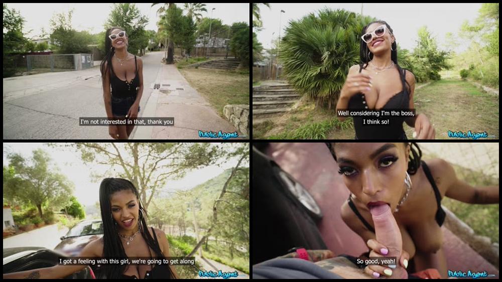 Publicagent 2021 01 03 Tina Fire 1080P