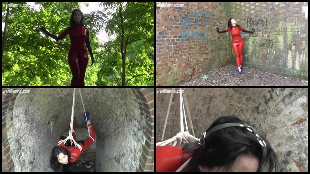 A Bondage Dream