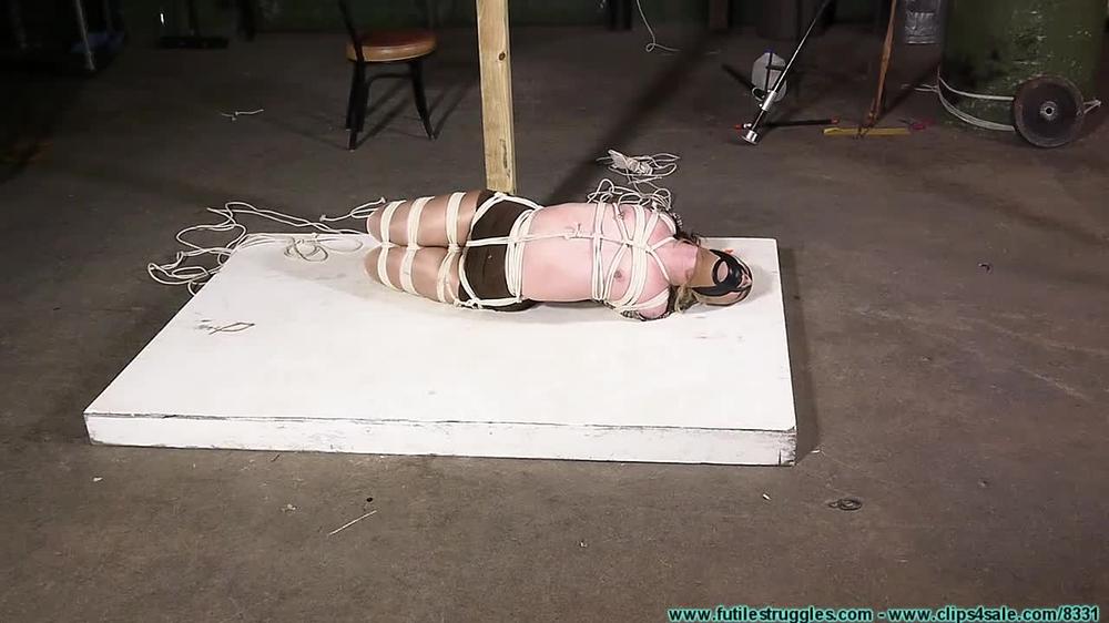 Moxie Hogtied 2