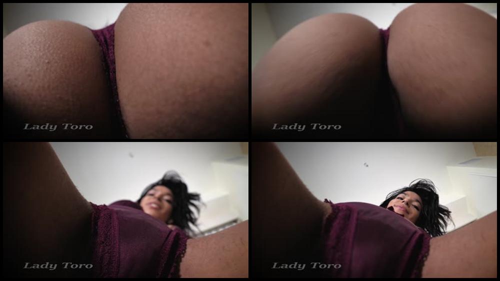 Ladytoro Trapped In The Ass Worship Box Manyvids