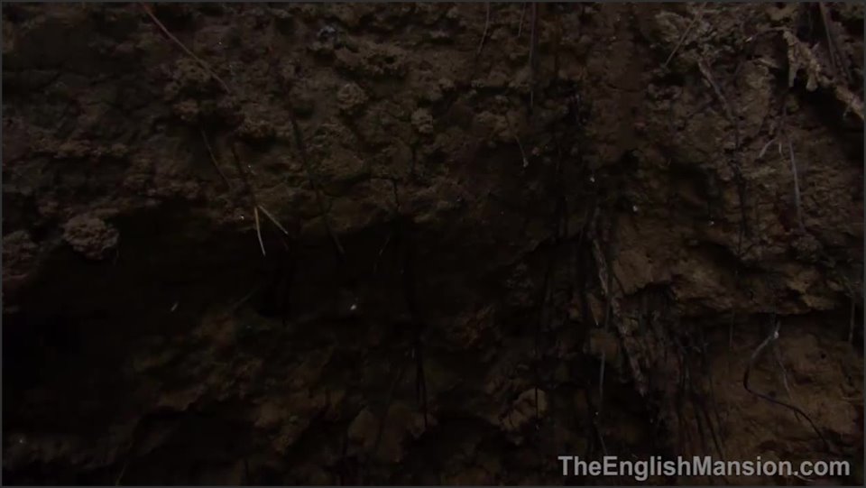 The English Mansion Taken To The Pit
