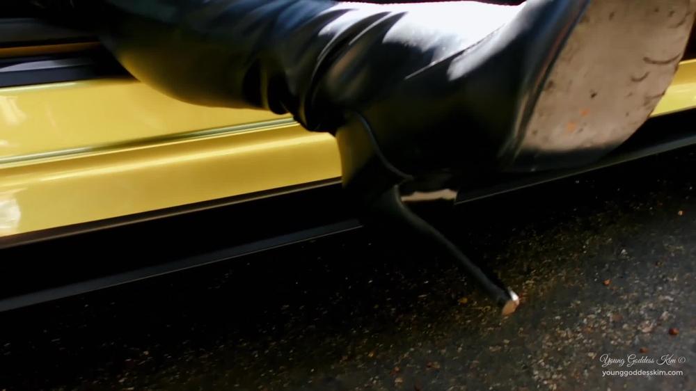 Ygk - Leashed Leather Bitch