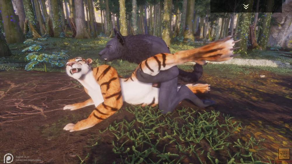 Wild Life / Werewolf and Tiger Girl in the woods