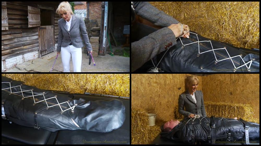 Theequestrianlady Com Myslavekickedhd Special For Pornolab Net