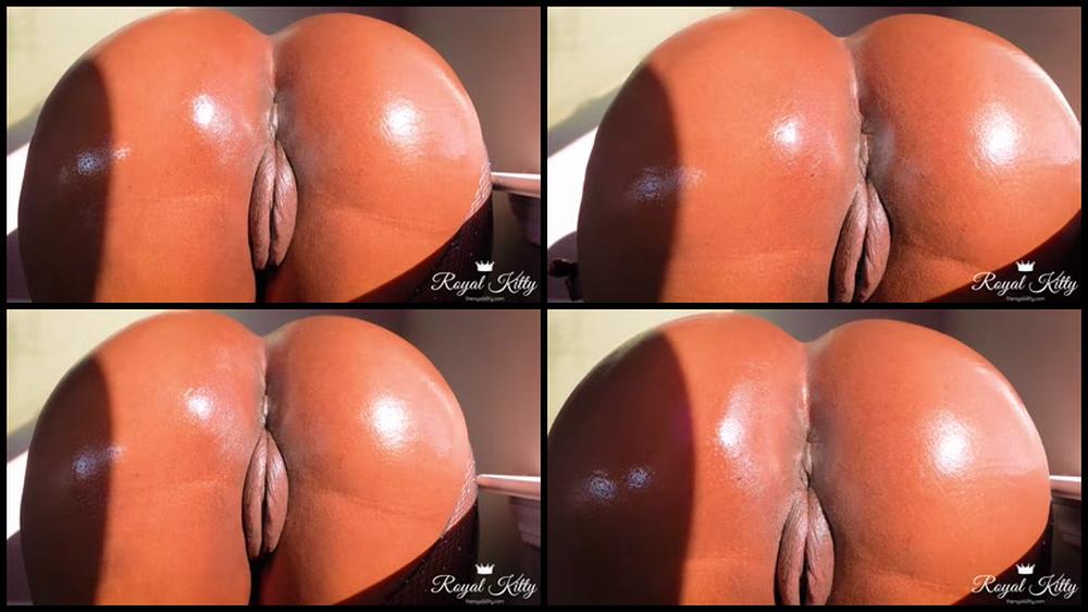 Theroyalkitty 12 01 2022 2328395552 Ass Worship Joi Let Me Tease You And Instruct You Pull That Dick Out And Bust A Big Nut