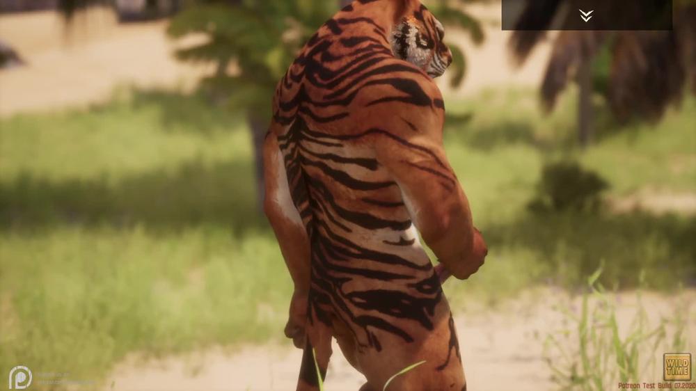 Wild Life / Male Furry's Jerking off Compilation HD / Werewolf,Tiger,Lion,Minotaur