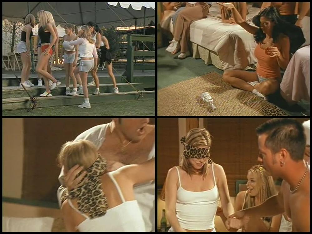 Debbie Does   Dallas The Revenge