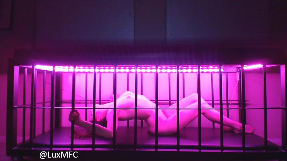 Luxneon - Bratty Slave Begs & Seduces For Freedom