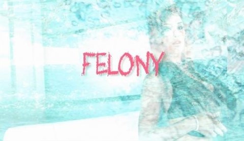 Felony Slutty Squirters, Scene