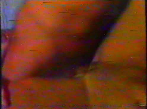 Anal Intruder 4 Scene 1