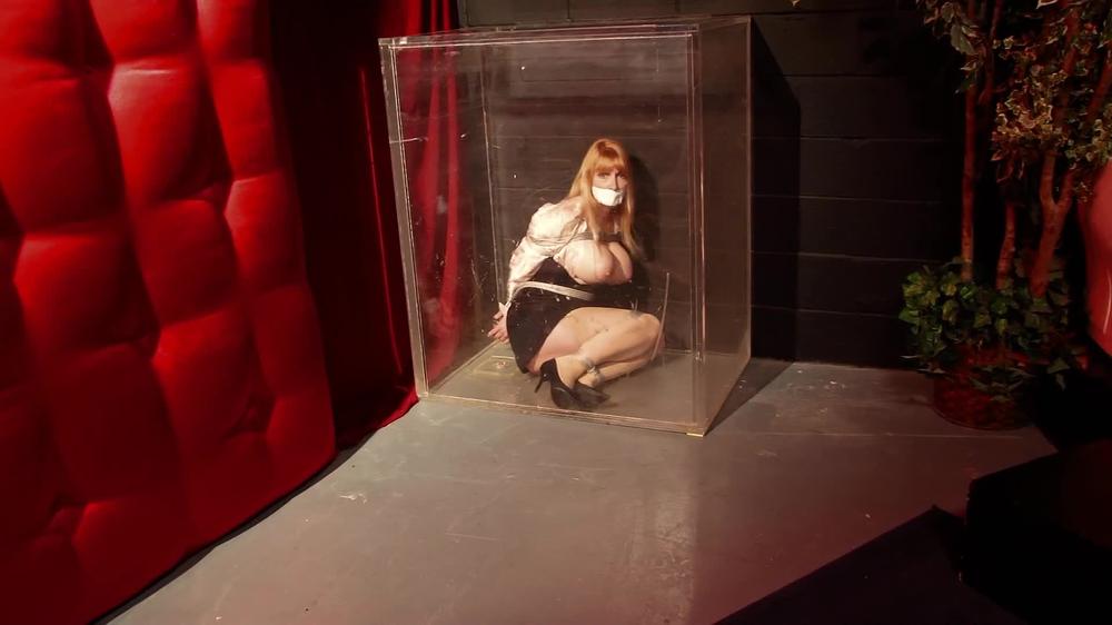 Trapped In The Cube - Secretary Lorelei Is Held Captive