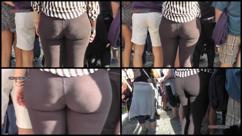268 Gsp Cougar Donk Legz