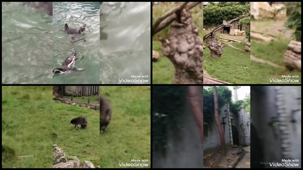 Fetishvixenfatal 01 10 2021 2235434966 Chessington World Of Adventures Part 1