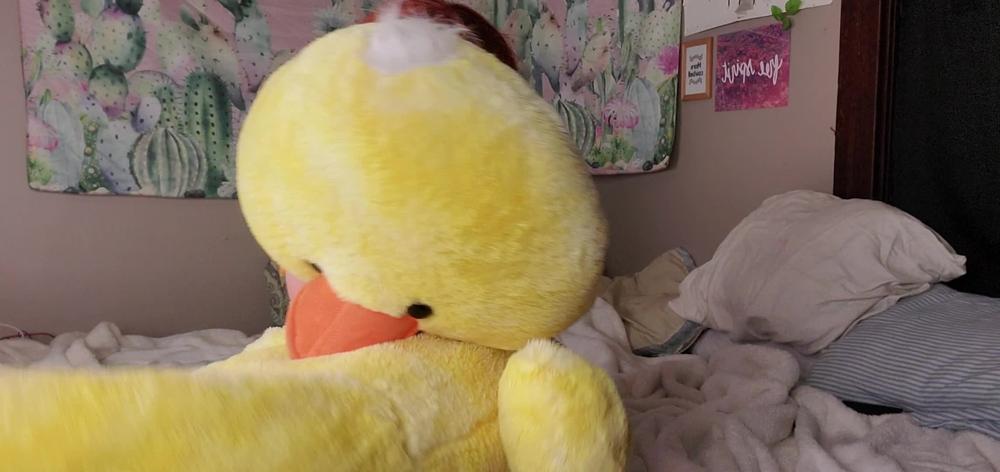 Anya Ivanovna Practicing Scissorholds On Plushie