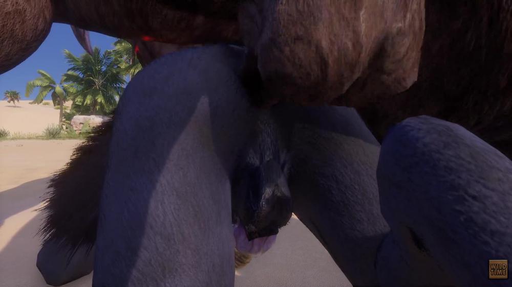 Wild Life / Gay Minotaur Furry Compilation