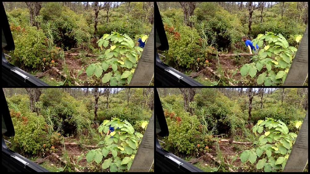 Elladonna69 13 04 2021 2081453819 Moving Around A Cut Down Tree Haha